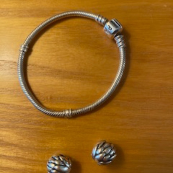 Pandora Silver Snake Chain Bracelet with 2 Spacer Charms - Picture 8 of 13